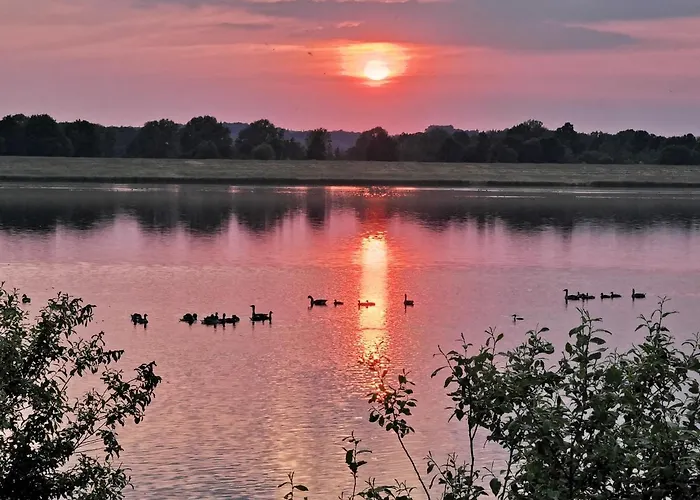 Rhode Am Alfsee Дом отдыха